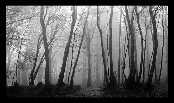 MISTY
